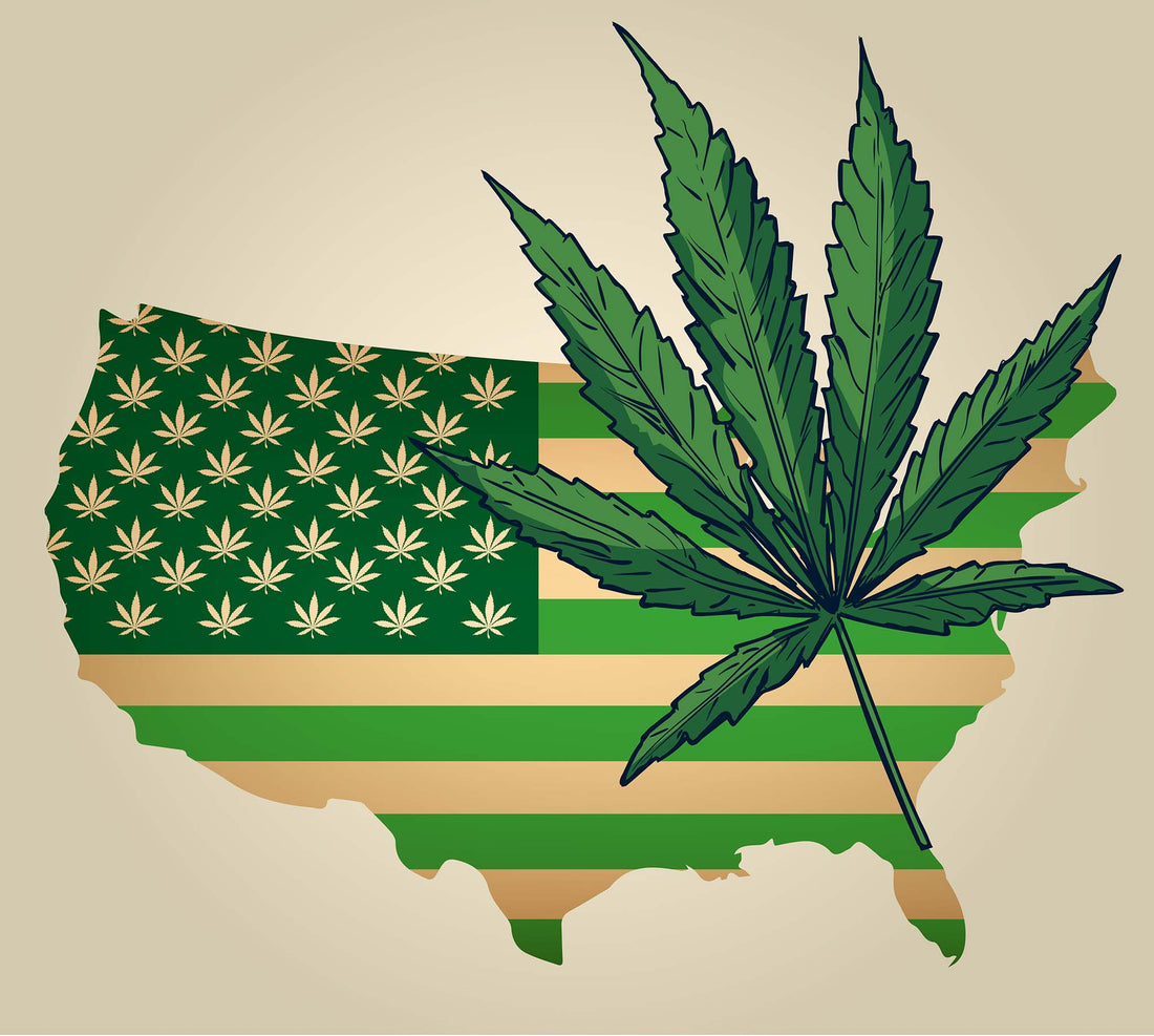 The Legal Landscape of Hemp and THC: Understanding Federal and Wisconsin Laws